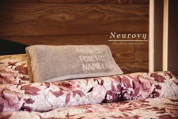 Фото номера Шатер Апартаменты Neurovu poilsio namelis г. Vilkyčiai 17